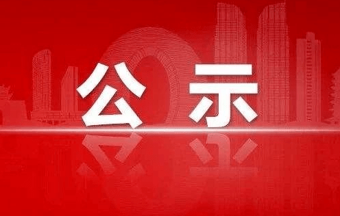 公示