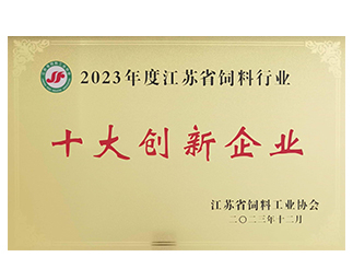 十大创新企业