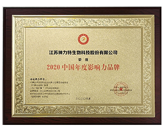 2020中国年度影响力品牌