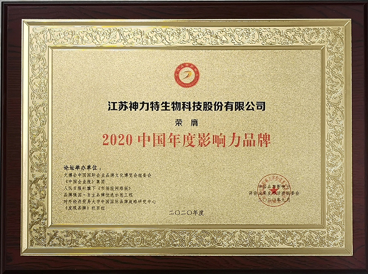 2020中国年度影响力品牌