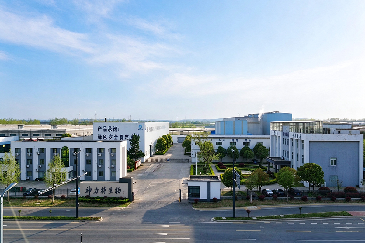 公司全景