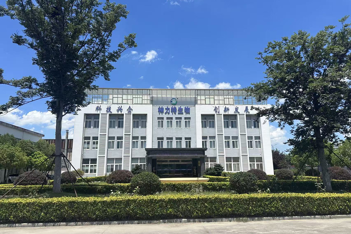 行政楼